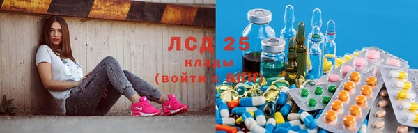 ПСИЛОЦИБИНОВЫЕ ГРИБЫ Белокуриха