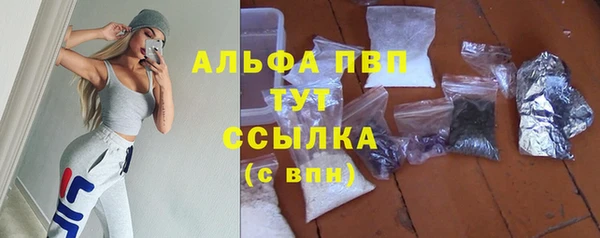 ПСИЛОЦИБИНОВЫЕ ГРИБЫ Белокуриха