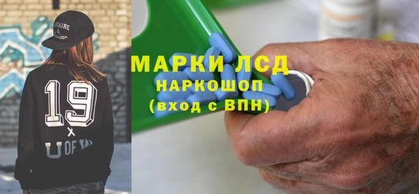 сатива Сосновый Бор
