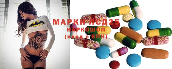 сатива Сосновый Бор