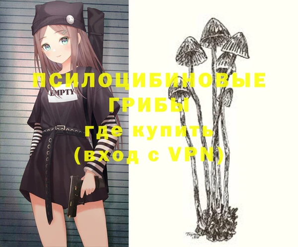 хмурый Беломорск