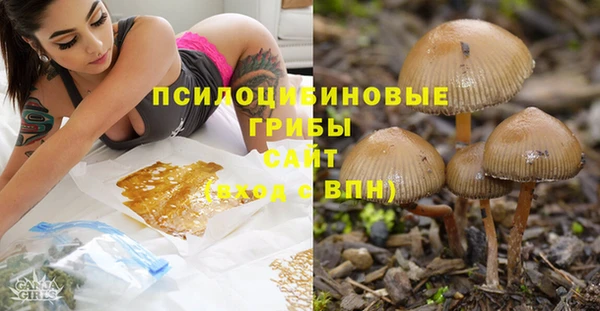 ПСИЛОЦИБИНОВЫЕ ГРИБЫ Белокуриха