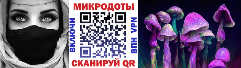 где найти   дарк нет официальный сайт  Галлюциногенные грибы мухоморы  Полесск 